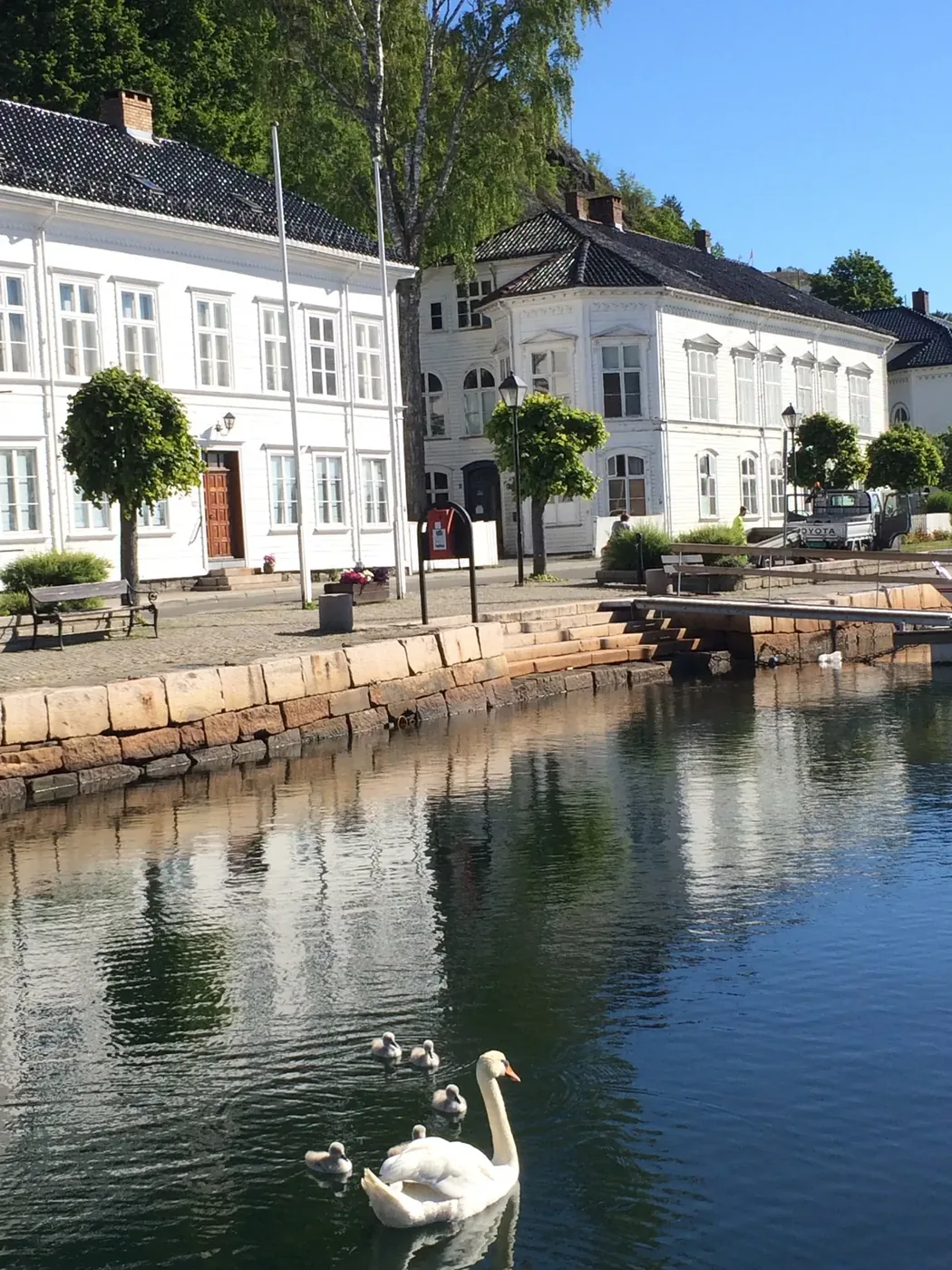 Svaner i havnen ved de hvite trehusene i Risør